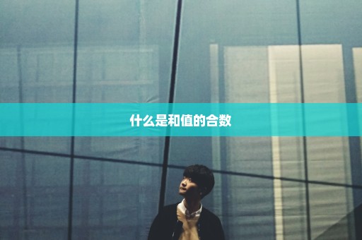 什么是和值的合数