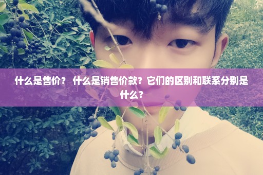 什么是售价？ 什么是销售价款？它们的区别和联系分别是什么？