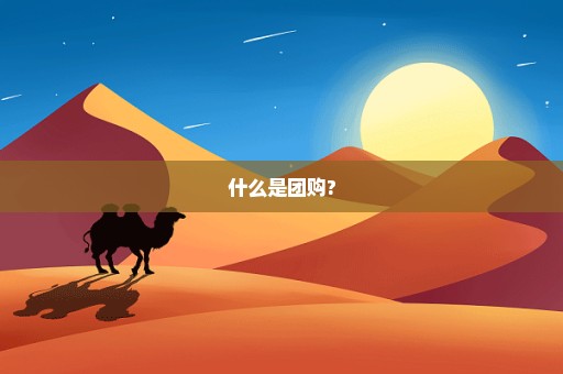 什么是团购?