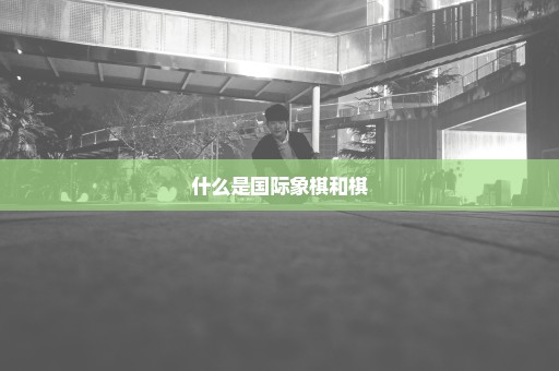 什么是国际象棋和棋