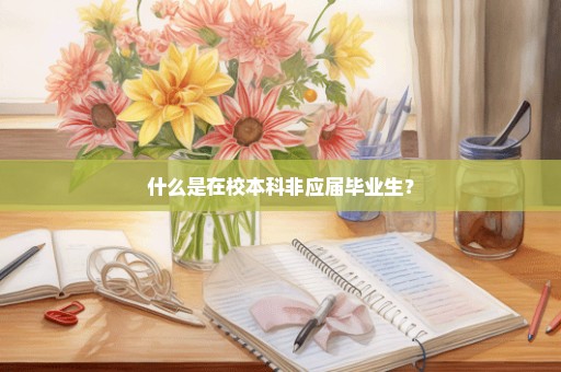 什么是在校本科非应届毕业生？