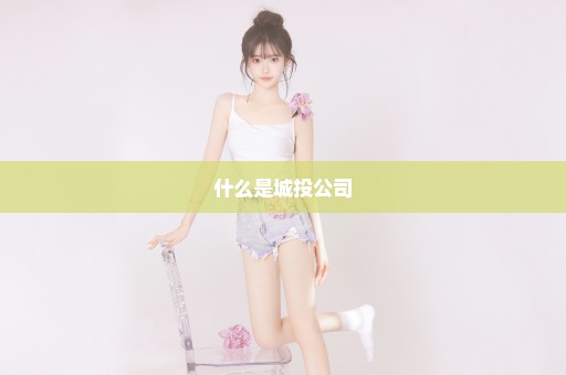 什么是城投公司