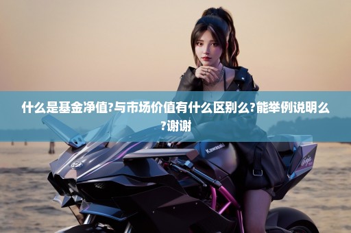 什么是基金净值?与市场价值有什么区别么?能举例说明么?谢谢