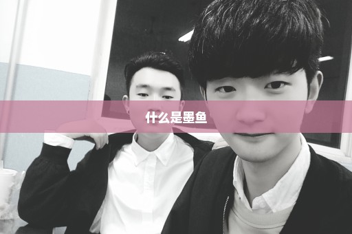 什么是墨鱼