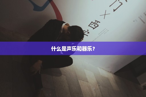 什么是声乐和器乐？