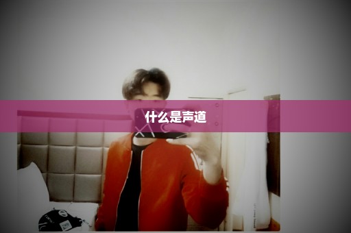 什么是声道