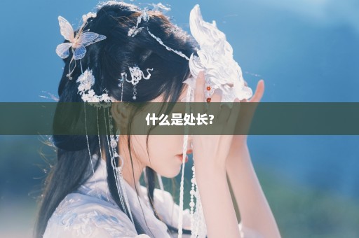 什么是处长?