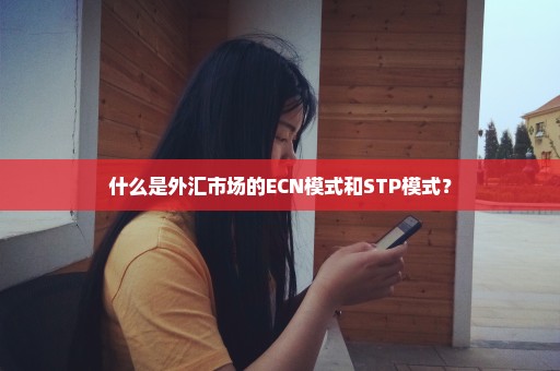 什么是外汇市场的ECN模式和STP模式？