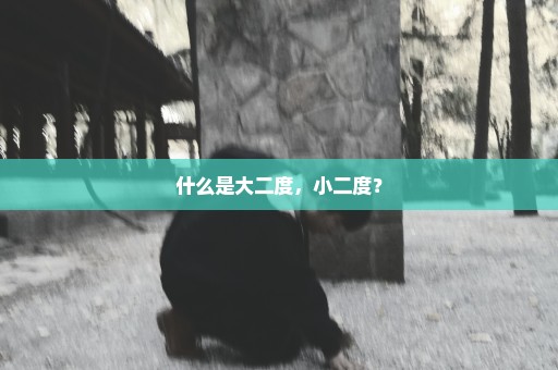 什么是大二度，小二度？