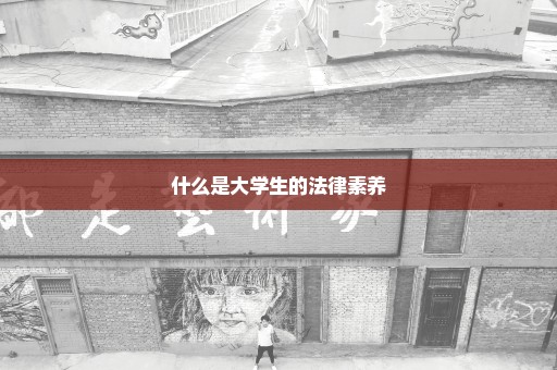 什么是大学生的法律素养
