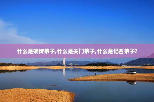 什么是嫡传弟子,什么是关门弟子,什么是记名弟子?