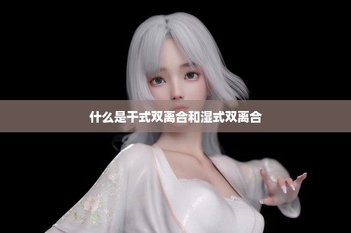 什么是干式双离合和湿式双离合