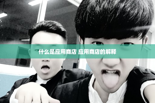 什么是应用商店 应用商店的解释
