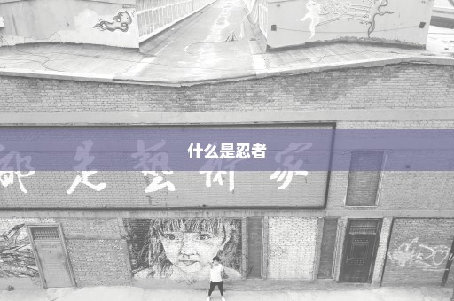 什么是忍者