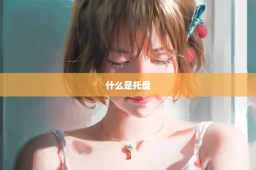 什么是托盘
