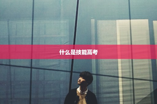 什么是技能高考
