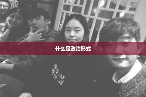 什么是政治形式
