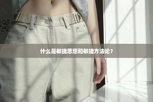 什么是敏捷思想和敏捷方法论？