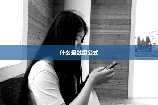 什么是数组公式