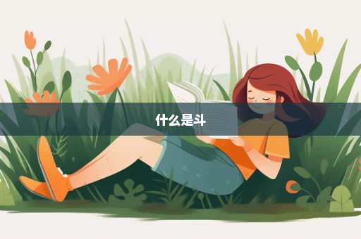 什么是斗