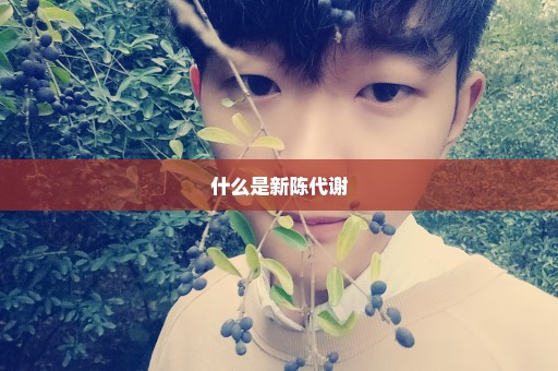 什么是新陈代谢