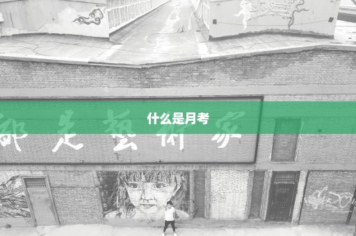 什么是月考