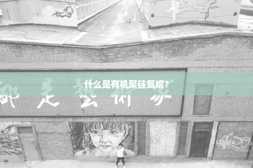 什么是有机聚硅氮烷？