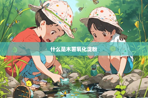 什么是木薯氧化淀粉