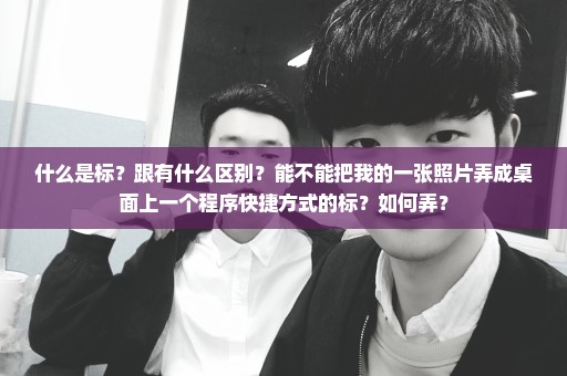 什么是标？跟有什么区别？能不能把我的一张照片弄成桌面上一个程序快捷方式的标？如何弄？