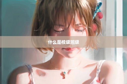 什么是校级班级