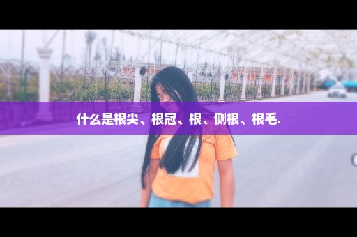 什么是根尖、根冠、根、侧根、根毛.