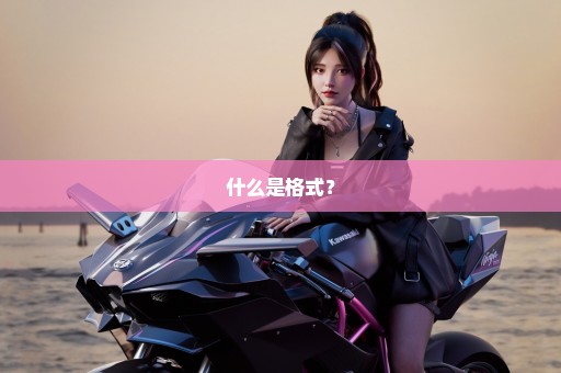 什么是格式？