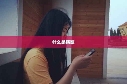 什么是档案
