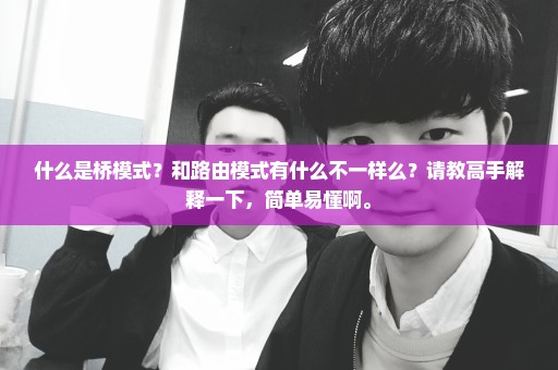 什么是桥模式？和路由模式有什么不一样么？请教高手解释一下，简单易懂啊。