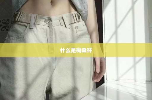 什么是梅森杯