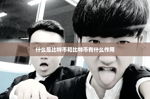 什么是比特币和比特币有什么作用