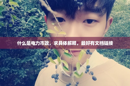 什么是电力市政，求具体解释，最好有文档链接