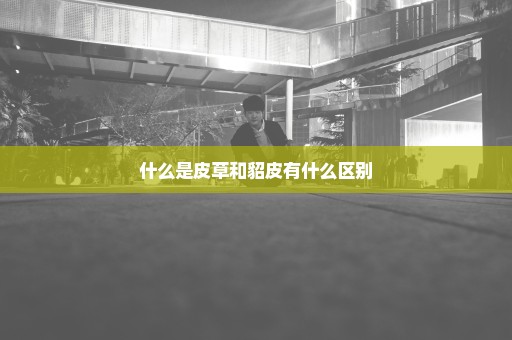 什么是皮草和貂皮有什么区别