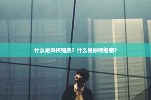 什么是真核细胞？什么是原核细胞？