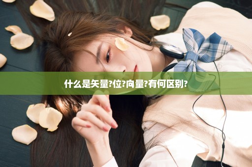 什么是矢量?位?向量?有何区别?