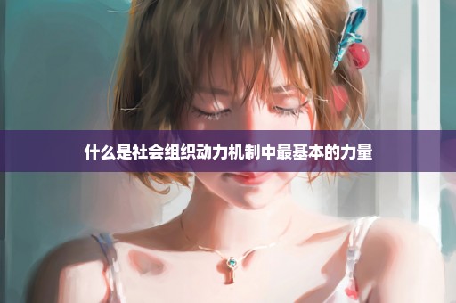 什么是社会组织动力机制中最基本的力量
