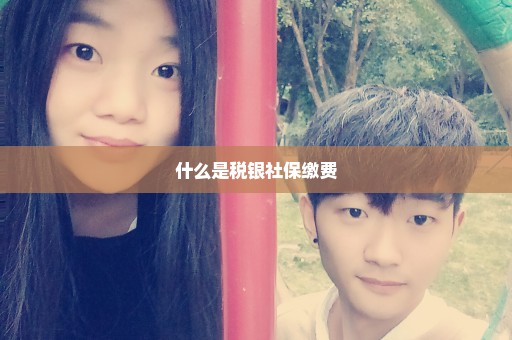 什么是税银社保缴费