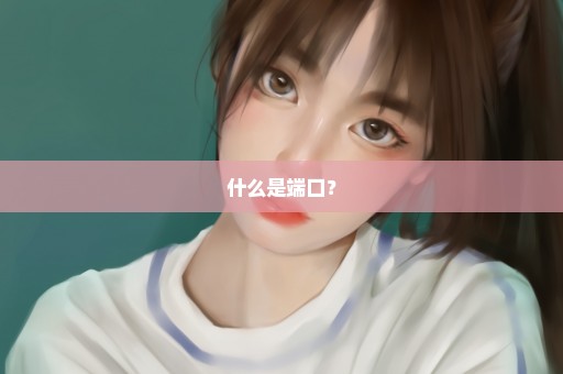 什么是端口？