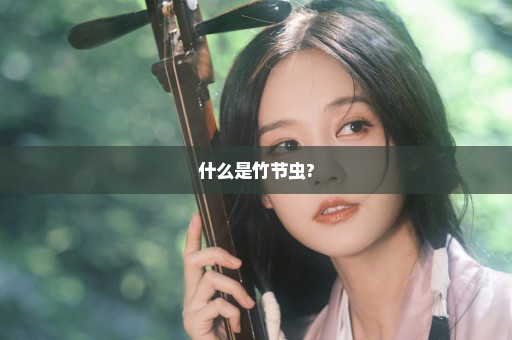 什么是竹节虫?