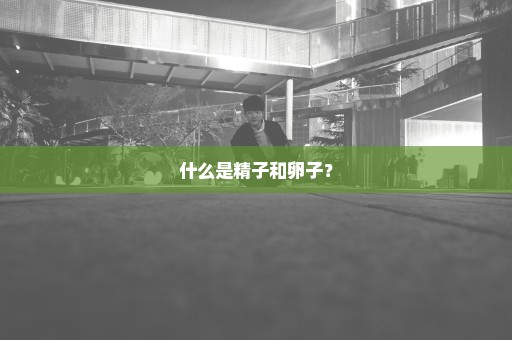 什么是精子和卵子？