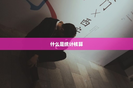 什么是统计核算