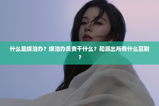 什么是综治办？综治办负责干什么？和派出所有什么区别？