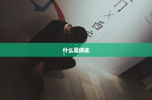 什么是综述