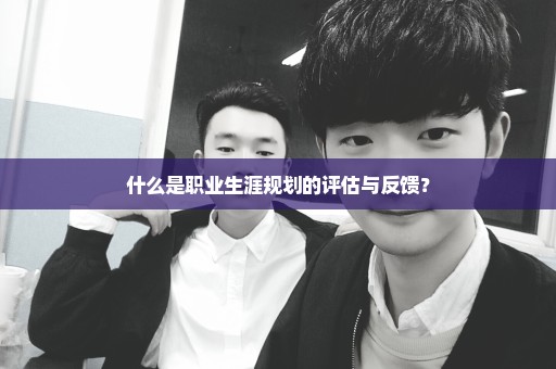 什么是职业生涯规划的评估与反馈？
