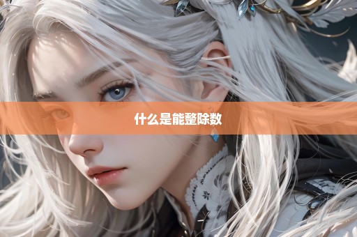 什么是能整除数